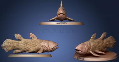 3D model Coelacanth (STL)